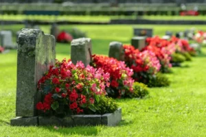 sun shining on row gravestones 600nw 1171344694